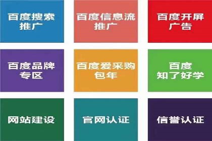 初探SEM推广代运营的多种成功模式